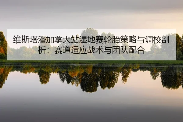 维斯塔潘加拿大站湿地赛轮胎策略与调校剖析：赛道适应战术与团队配合